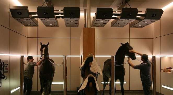 Equestrian Center